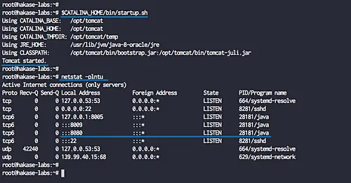 Install and start Apache Tomcat