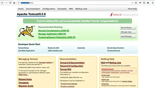 Tomcat started