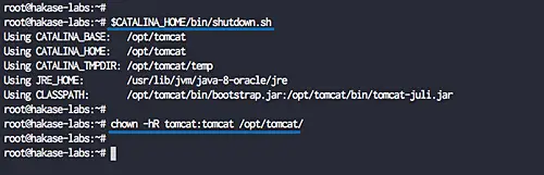 Stop Tomcat server