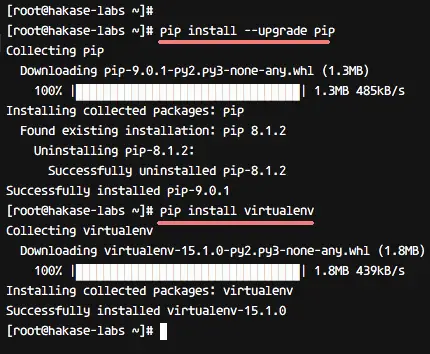 Install pip