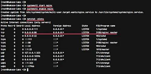 Install Nginx