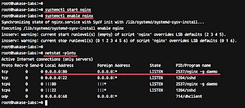 Installing Nginx