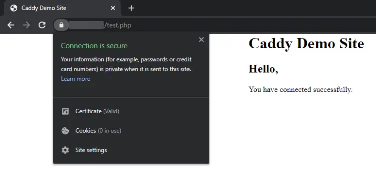 Caddy Demo Site Page