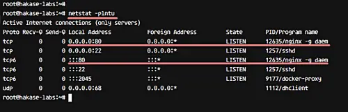 Nginx has been installed