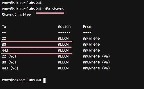 Checking UFW Rules Ubuntu 