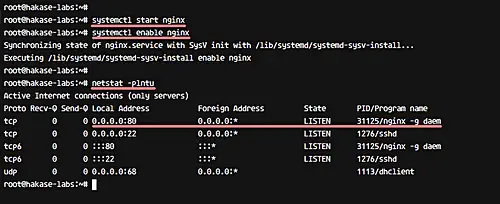 Check that nginx is running