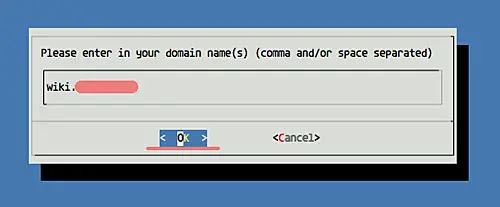 Enter domain name