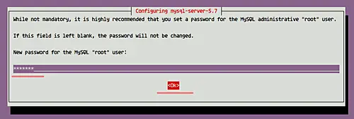 Set MySQL root password