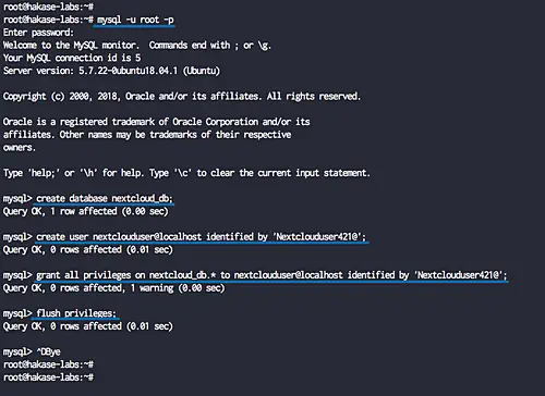 Configure MySQL database