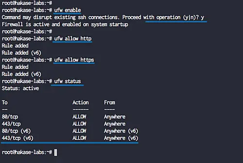 Configure UFW Firewall