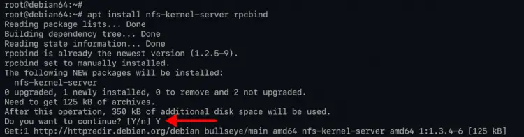 Installing NFS Server Debian 11