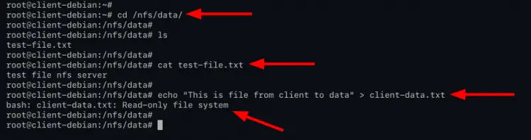 Test write on read-only NFS Server