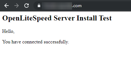 OpenLiteSpeed Site Test