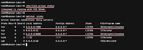 Check if OpenLiteSpeed is running