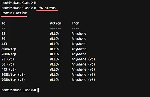 Check Firewall Status