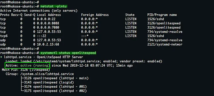 Check if OpenLitespeed is running