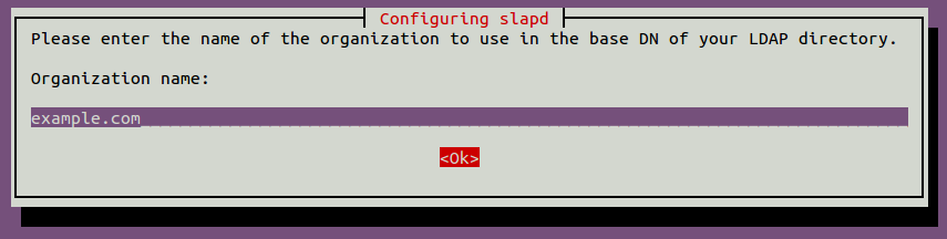 Organization name