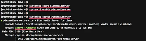 Start Plex Media Server