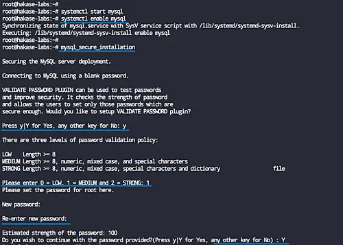Install MySQL