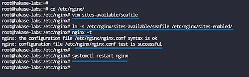 Nginx as reverse proxy for seafile