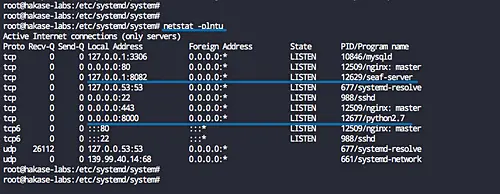 Seafile started by systemd