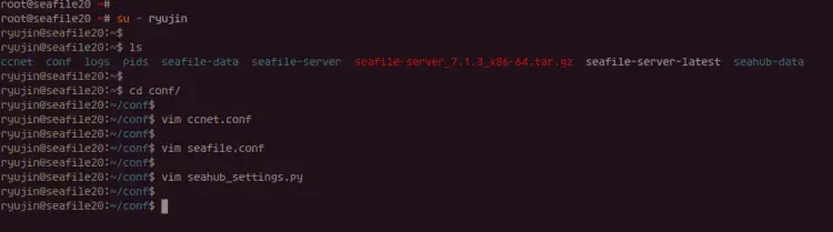 Configure Seafile Domain Name