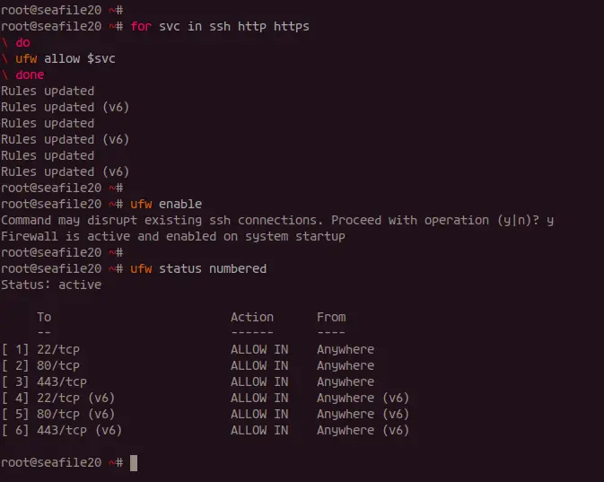 UFW Allow SSH HTTP and HTTPS
