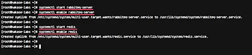 Install Redis and RabbitMQ