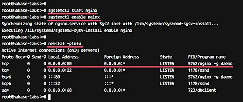 Nginx successfully installed