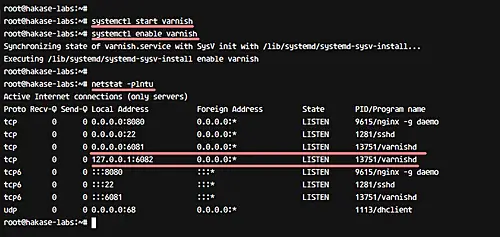 Start and check varnish http cache