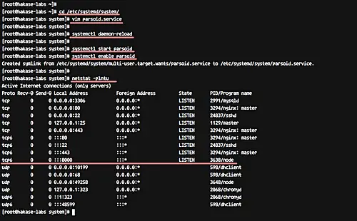 Result of netstat -plntu command