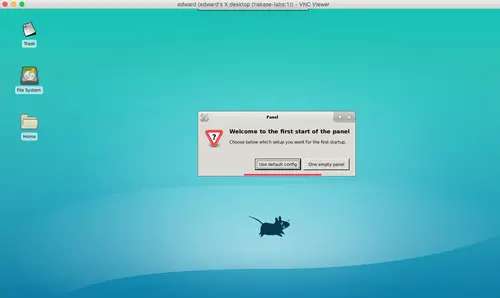 VNC connection to server desktop