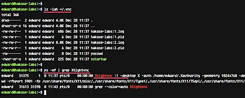 VNC Server is working correctly