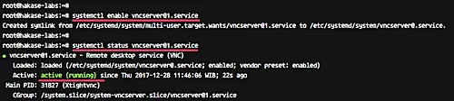 VNC as a service