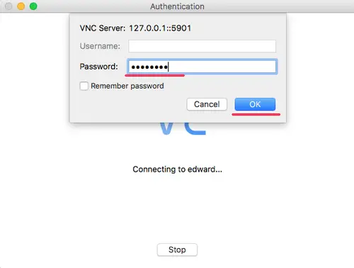 Connect to VNC server