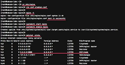 Nginx as reverse proxy