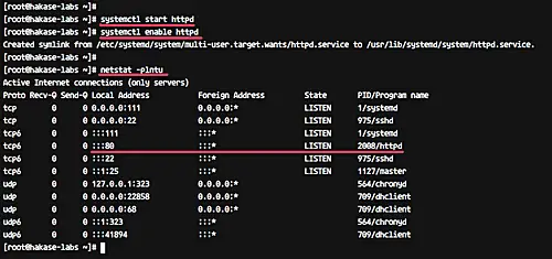 Netstat command