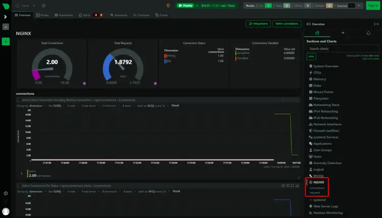 Netdata Nginx Connection Details