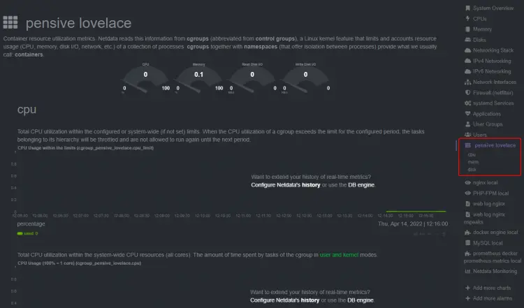 NetData Docker Individual Container Statistics