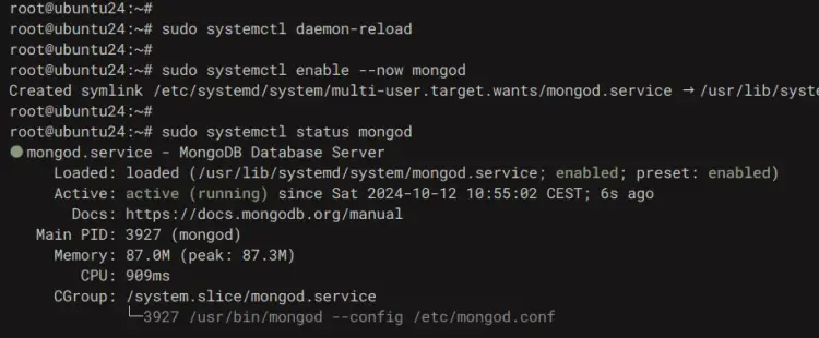 check mongodb service