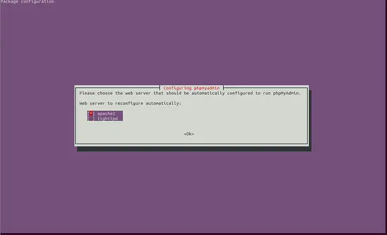 Install phpMyAdmin
