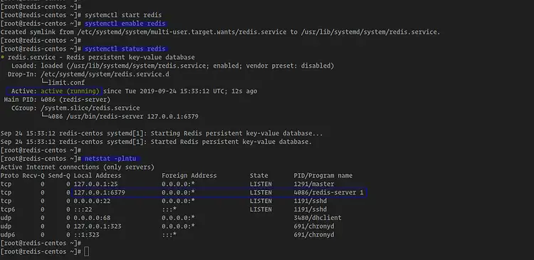 Check Redis status