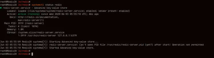 Check Redis server Status