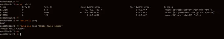 Check Redis Port