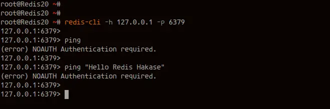 Testing Redis Authentication