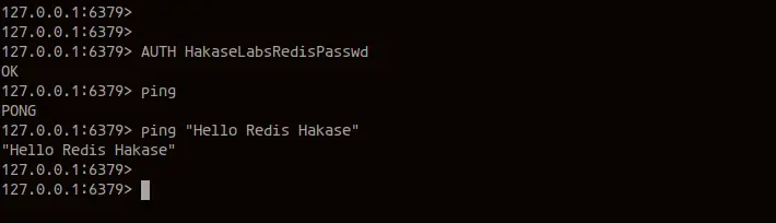 Testing Redis Authentication