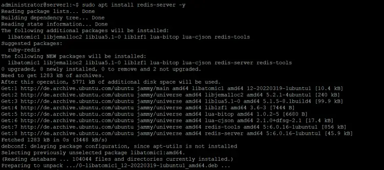 Redis Installation