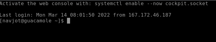 Guacamole SSH Terminal