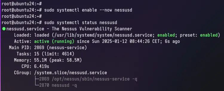 check nessus
