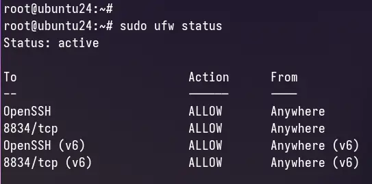 check ufw status